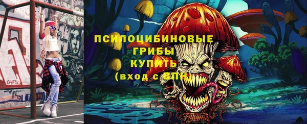 дурь Богданович